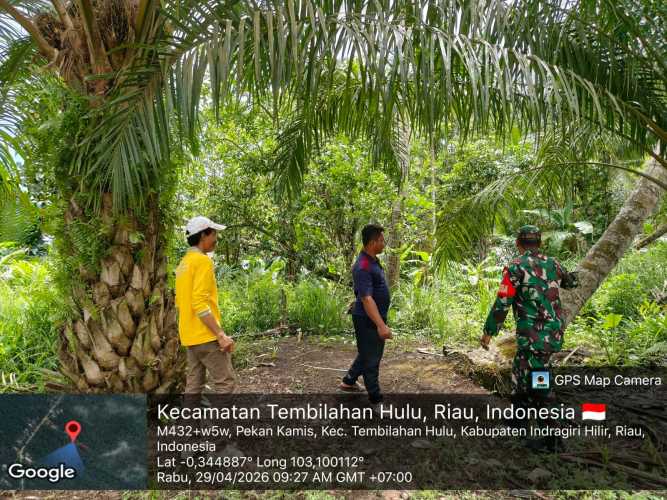 Babinsa Serda Miskal Perkuat Pengawasan Tapal Batas Desa Pekan Kamis Melalui Pendekatan Terpadu