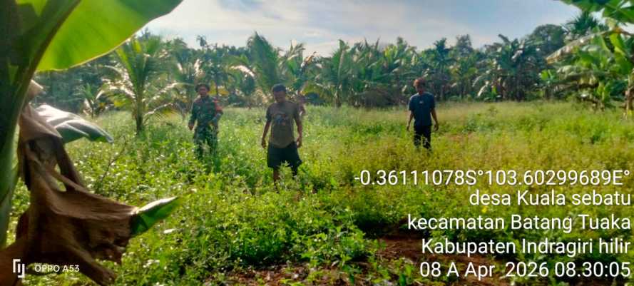 Waspada Musim Kemarau, Babinsa Koramil 12/Batang Tuaka Intensifkan Pengamanan Tapal Batas