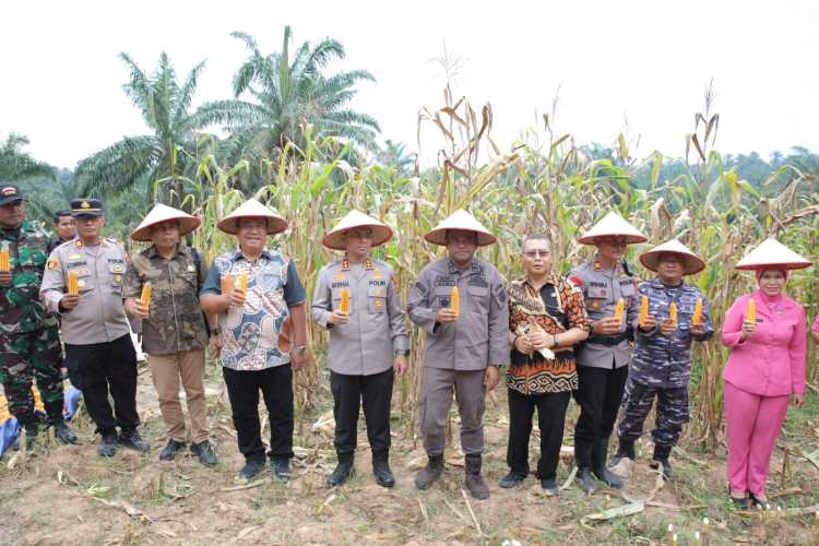 Bupati Asahan Ikuti Panen Raya Jagung Serentak yang Dipimpin Presiden Republik Indonesia