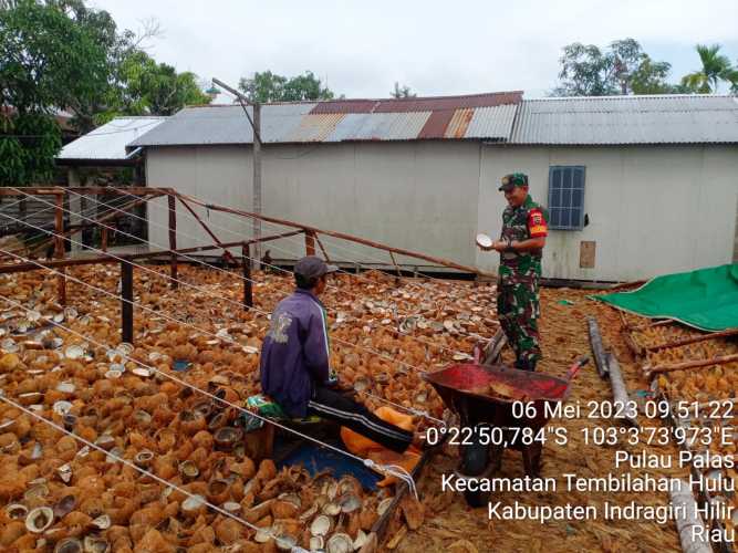 Babinsa Pulau Palas Pantau Harga Kelapa di Gudang Para Tengkulak